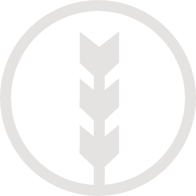Logo for Excelsior